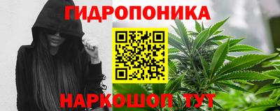 эйфоретик Гусев